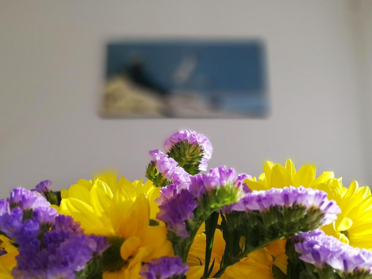 Verdemar Apartment With Sea View And Garden Нерха Экстерьер фото